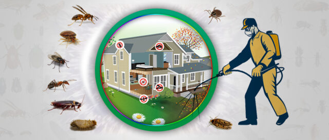 pest treatment services